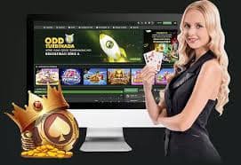 193 bet login